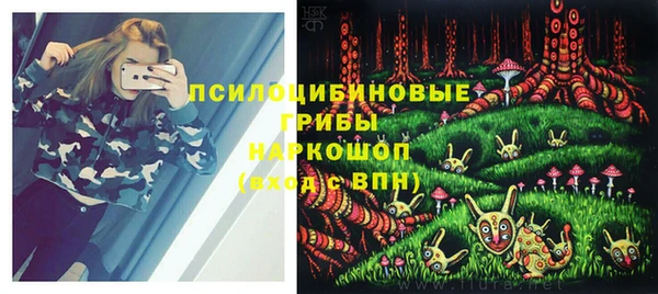прущие крисы Алзамай