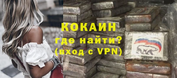 гашик Аркадак