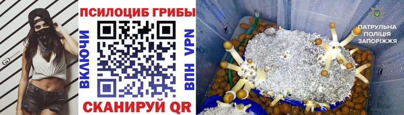 Галлюциногенные грибы MAGIC MUSHROOMS  Калязин 